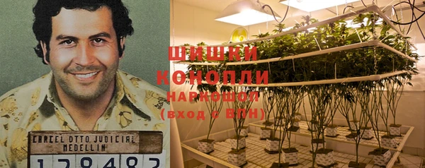 ГАЛЛЮЦИНОГЕННЫЕ ГРИБЫ Абдулино