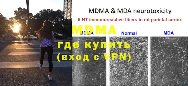 стафф Абинск