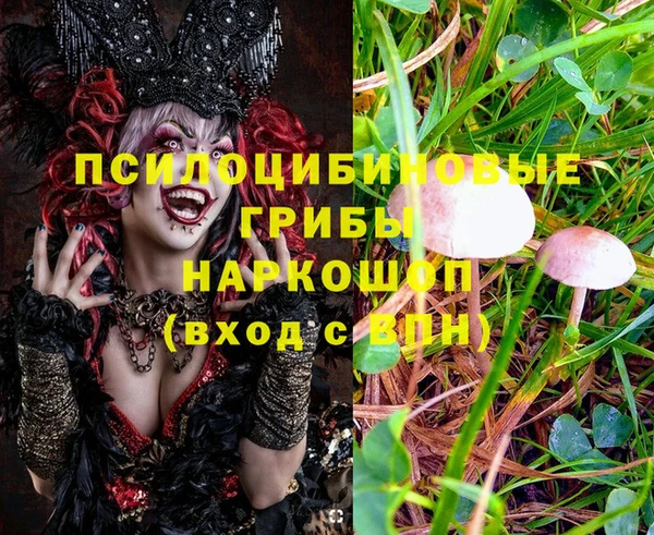 стафф Абинск