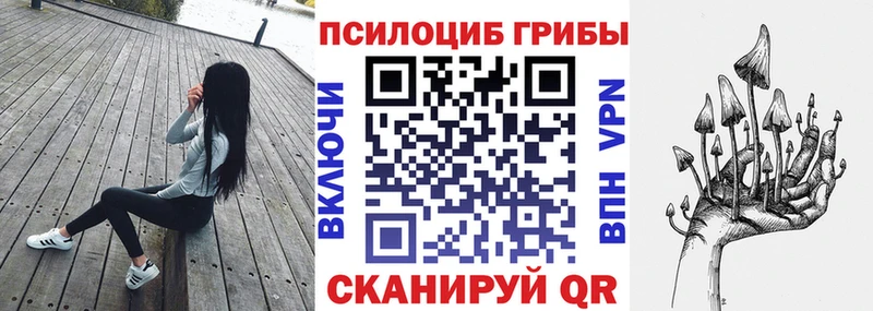Галлюциногенные грибы мицелий  Вышний Волочёк 